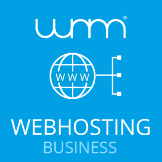 Webhosting-Paket Business (Jahrespreis)