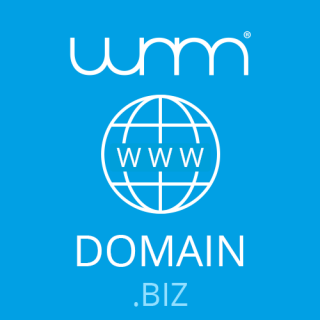 .biz-Domain (Jahrespreis)
